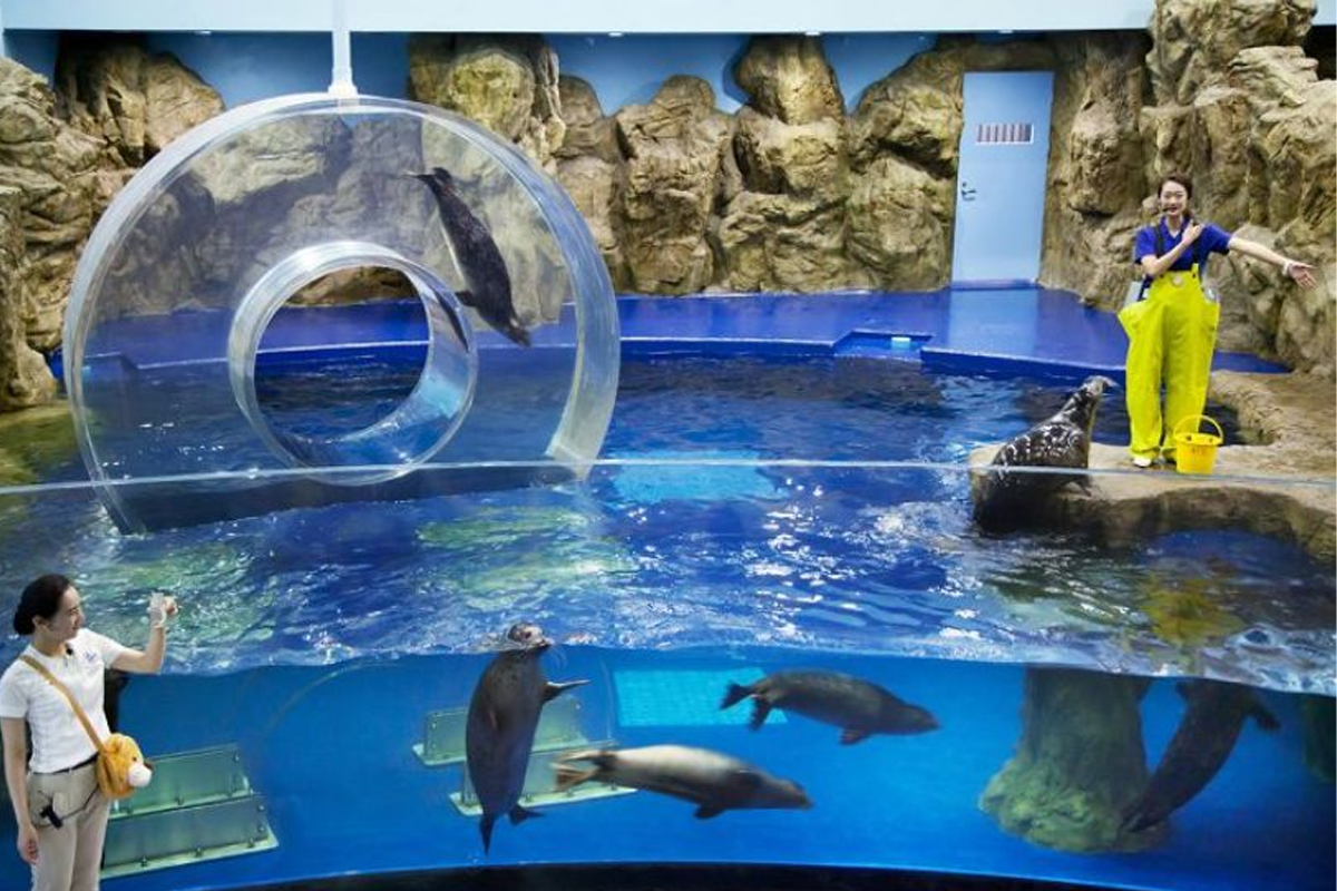一山海洋世界水族館