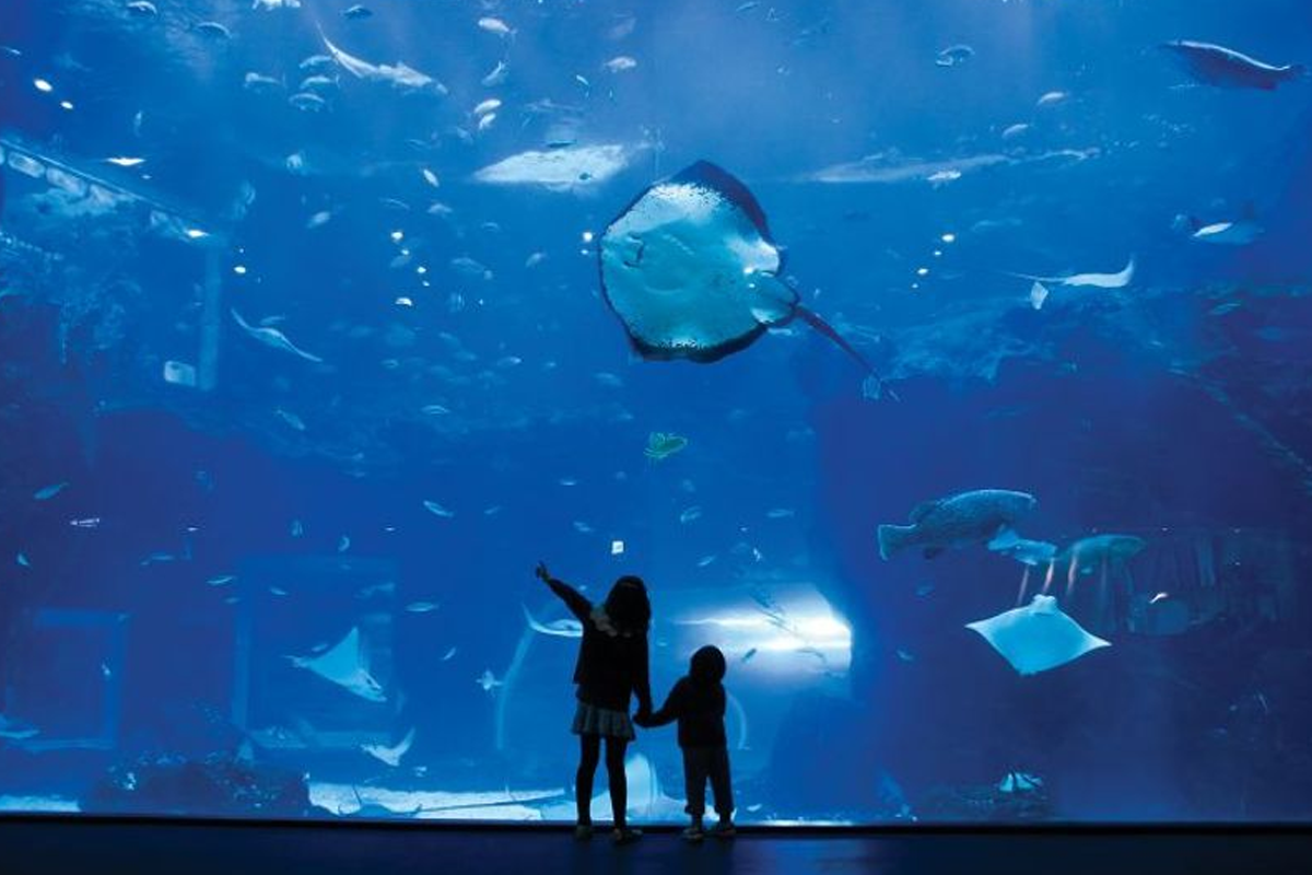一山海洋世界水族館