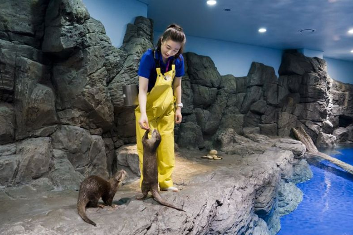 一山海洋世界水族館