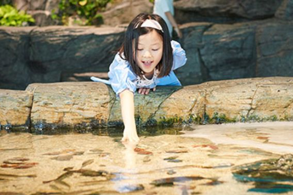 一山海洋世界水族館