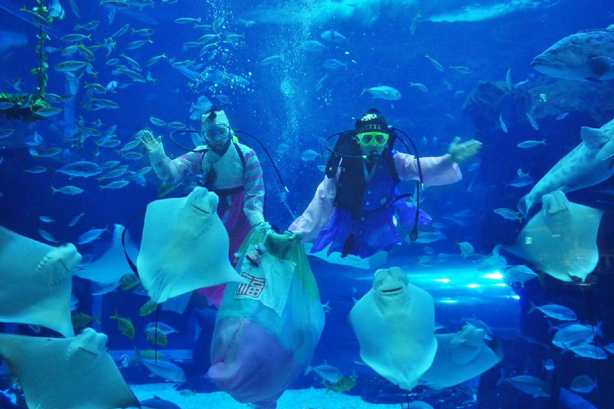 一山海洋世界水族館