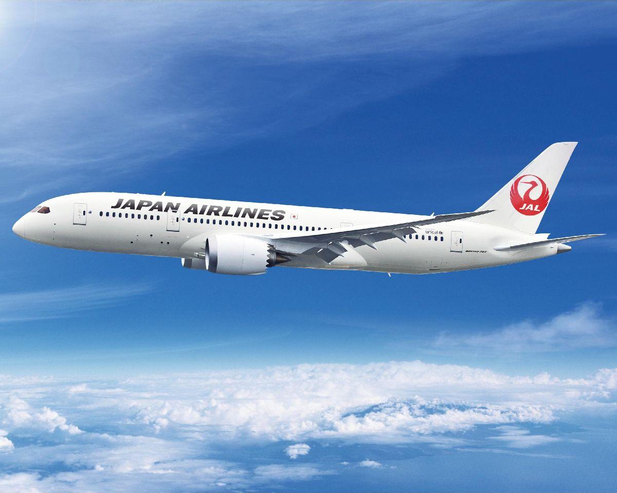 The flight time and baggage rules by airline from Japan to South Korea