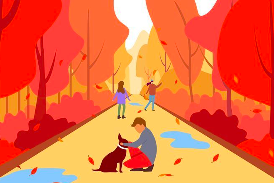 秋季韓國公園的插圖,樹葉變成紅色和橙色,人們在樹林中散步,享受涼爽的秋天。