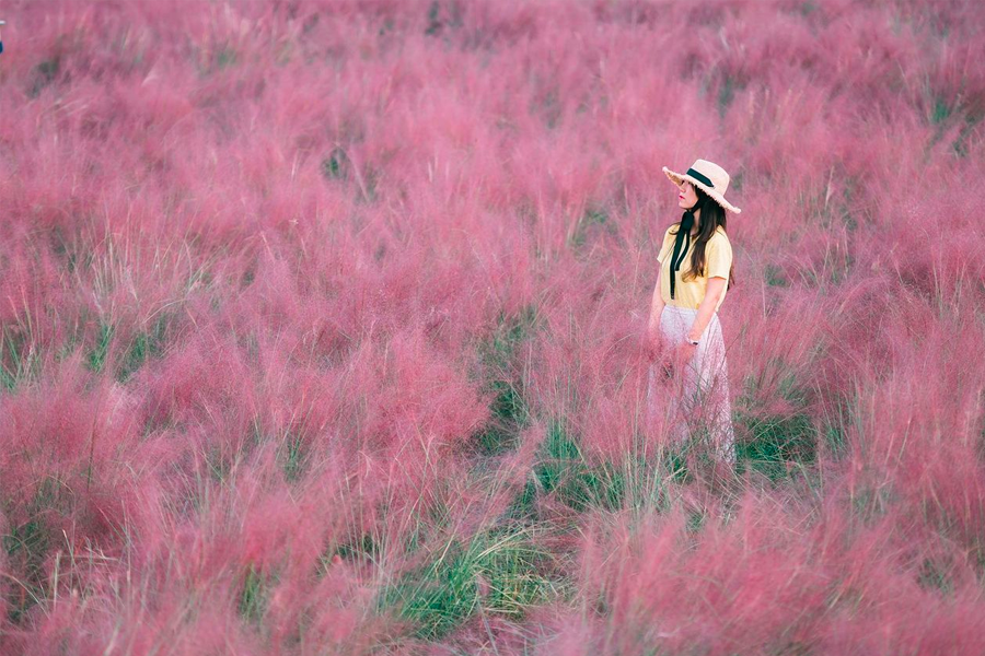 粉紅芒草中的女性，頭戴寬邊帽，身穿亮色服裝，宛如置身仙境，捕捉秋日的浪漫魅力。