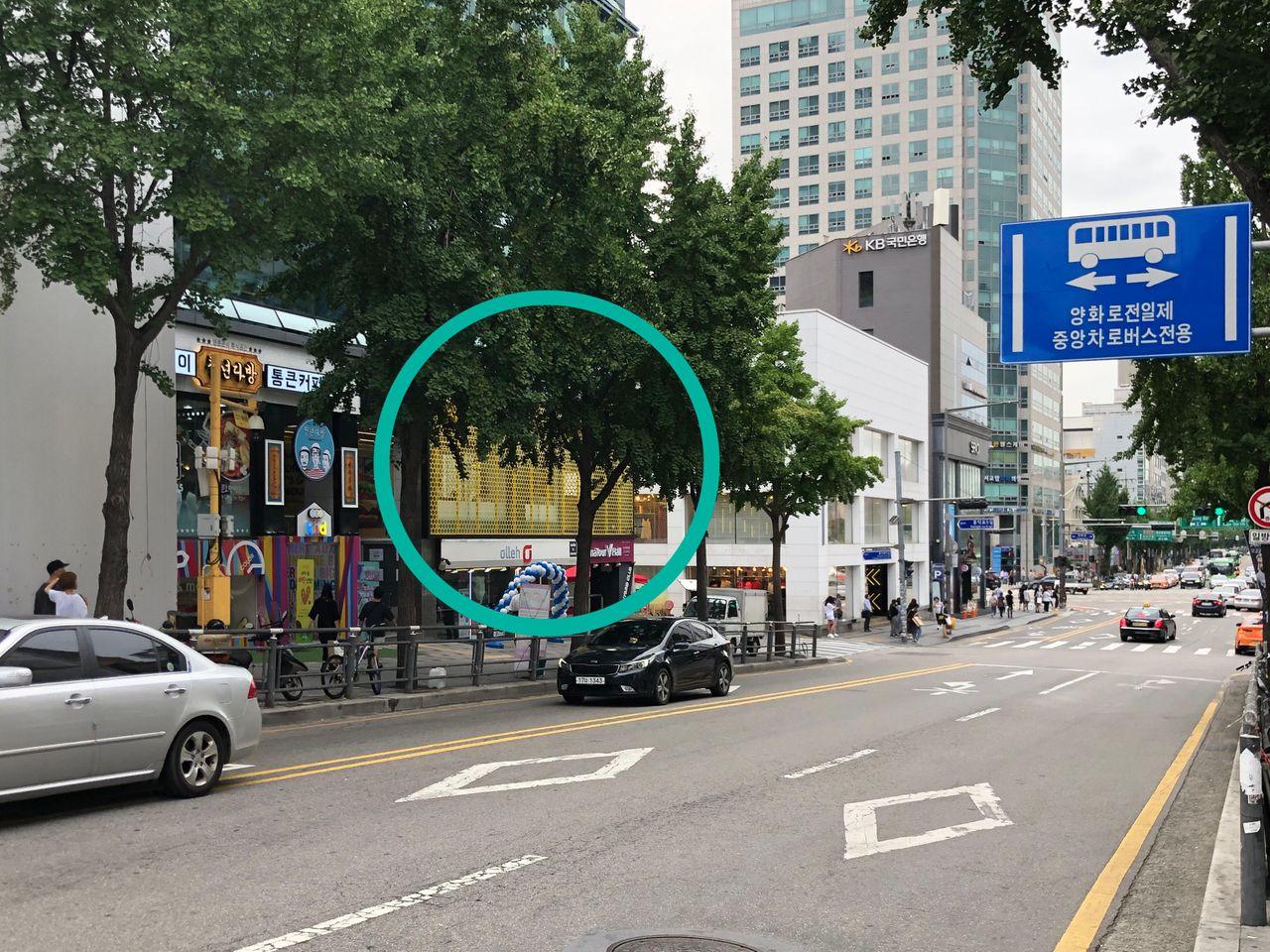 Hongdae Delicious Burgers at a Cheap Price - No Brand Burger