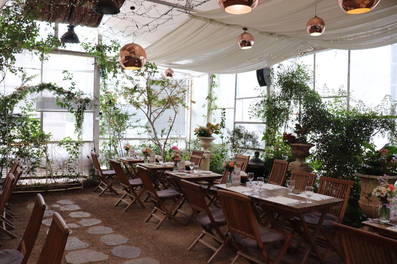 アーバンガーデンの店内。大きな温室のような環境で、植物に囲まれた爽やかなダイニングエリア