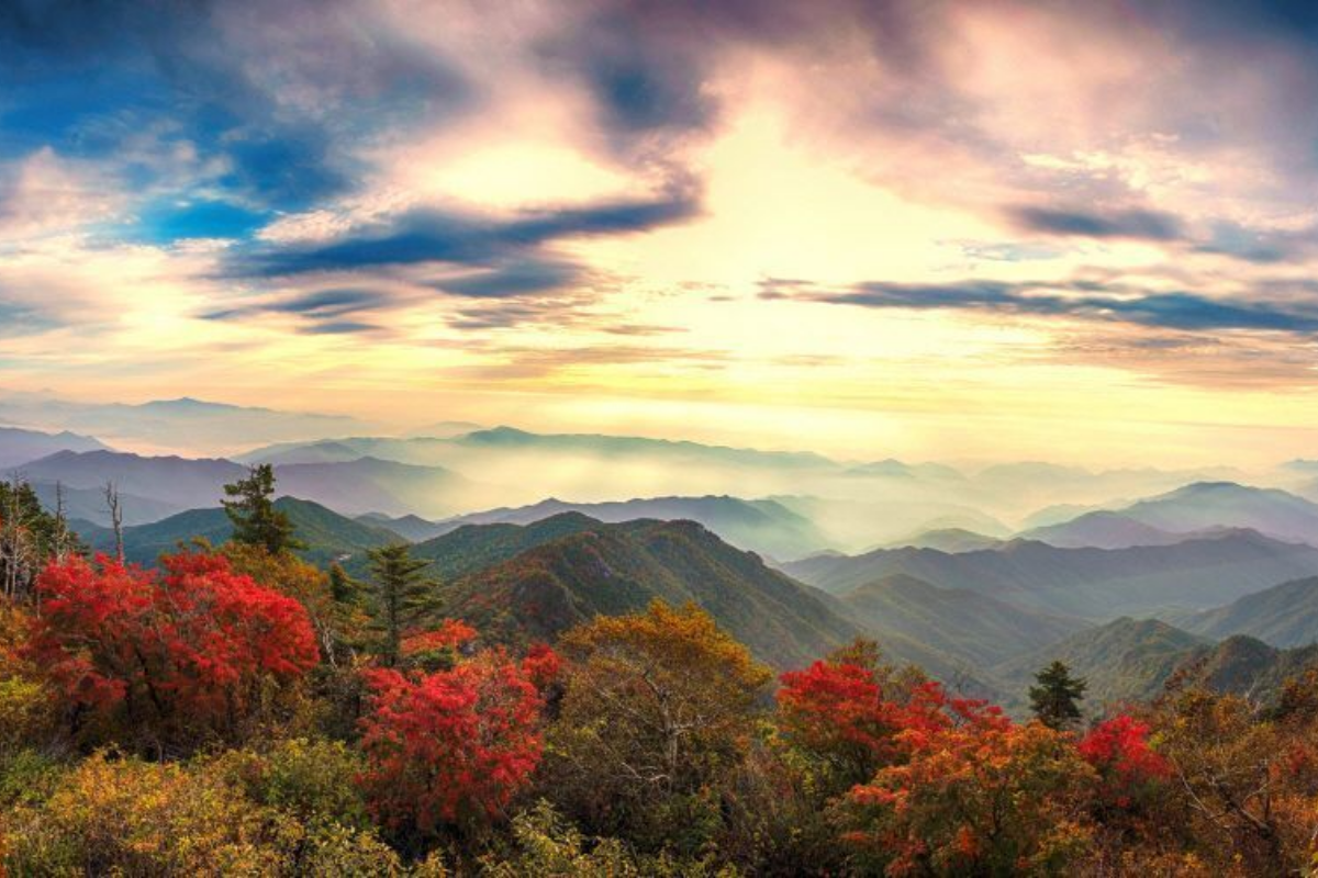 Phong cảnh mùa thu của núi Jirisan với bầu trời rộng lớn, các lớp núi và cây cối nhuốm sắc vàng đỏ.