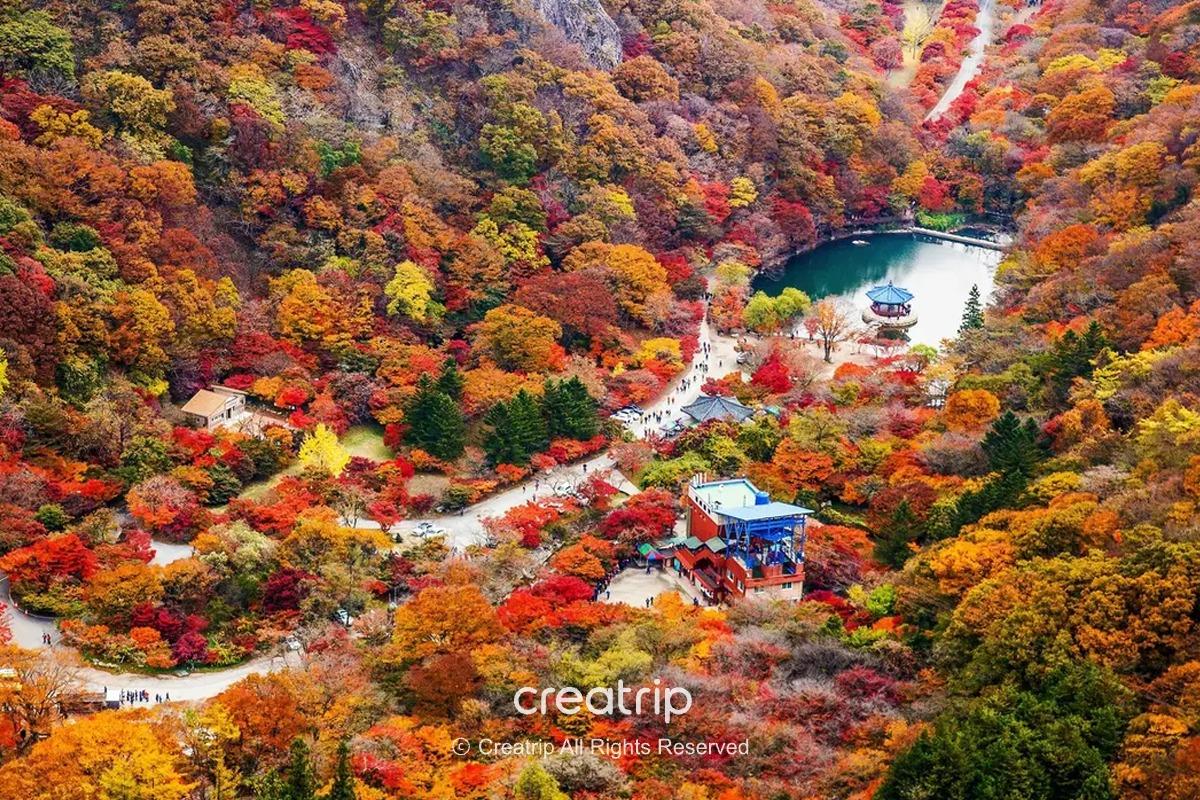 雪嶽山秋季山谷全景，步道與湖畔涼亭被紅、橙、黃交織的楓葉包圍，遊客沿路散步賞楓，適合10月下旬至11月初行程參考。