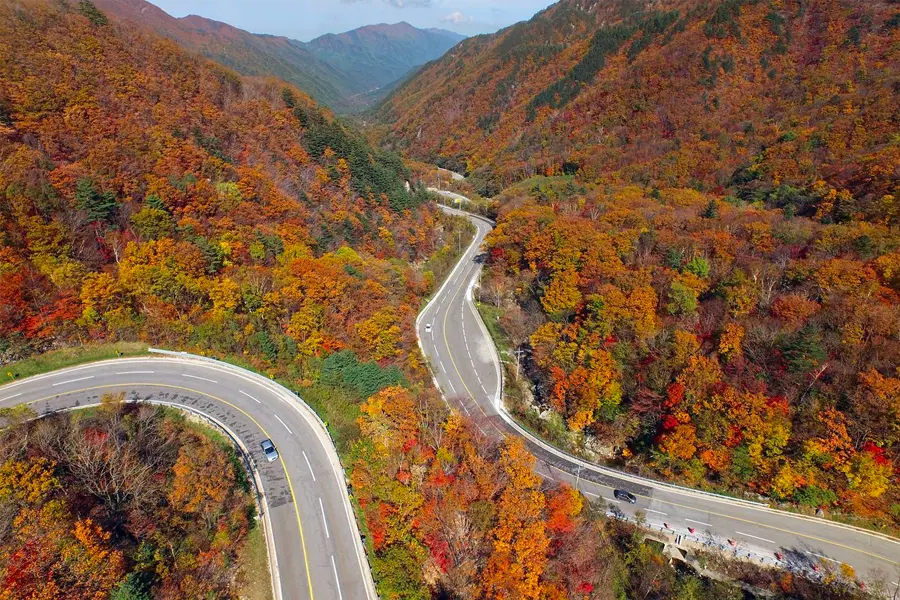 韓國紅葉 韓國楓葉 2025韓國紅葉 2025韓國紅葉幾時開 2025韓國楓葉幾時開 2025韓國紅葉預測 韓國賞紅葉景點 韓國賞楓景點