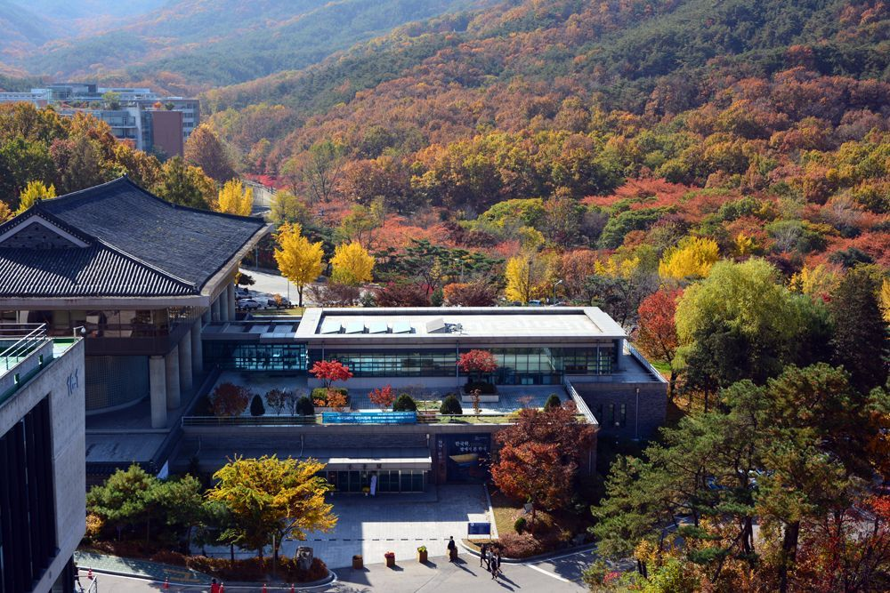 Campus de la Universidad Nacional de Seúl en otoño, con árboles con hojas doradas y naranjas bajo un cielo azul brillante.