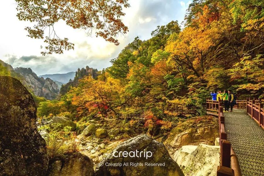 雪嶽山秋日步道沿溪而行，岩石與遠山環繞，樹葉由綠轉黃橙紅交織，遊客在木棧道上觀賞拍照，適合10月底至11月初賞楓行程說明圖。