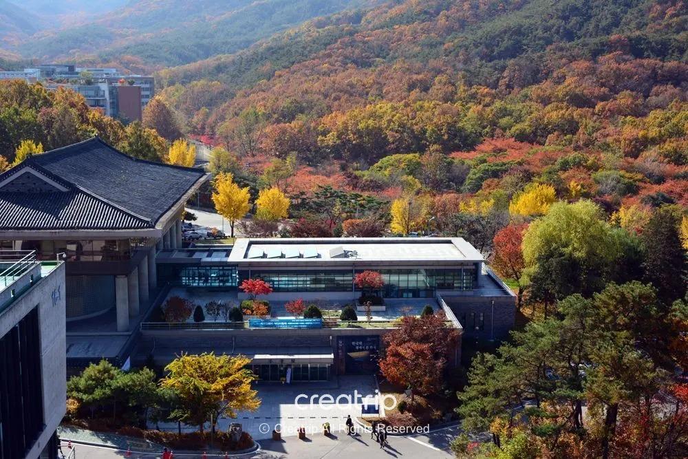 首爾郊區校園與傳統建築前的秋日山坡，滿山楓葉與銀杏交織金紅色彩，適合10月底至11月初賞楓行程參考