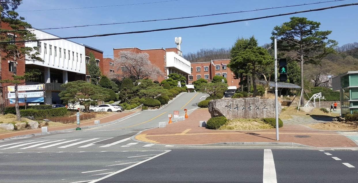 28%할인! 대구 시티투어버스를 타고 대구 유명 관광지를 편하게 여행해요!