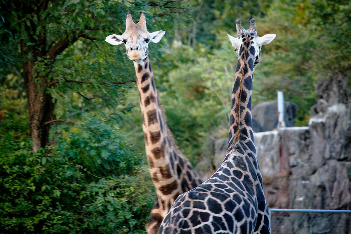 韓国地方旅行、大邱、テグ、大邱シティツアーバス、大邱日帰り旅行、オープントップバス、2階建てバス