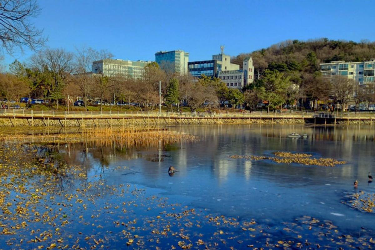 韓国地方旅行、大邱、テグ、大邱シティツアーバス、大邱日帰り旅行、オープントップバス、2階建てバス