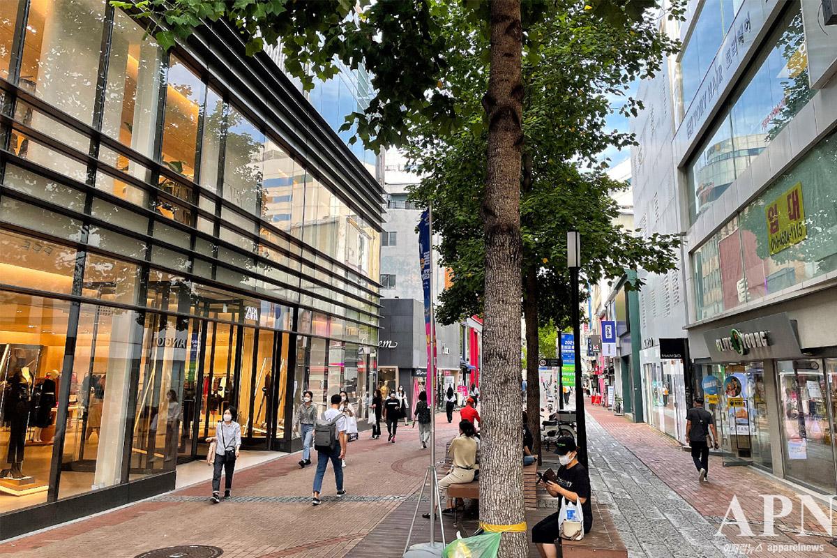 韓国地方旅行、大邱、テグ、大邱シティツアーバス、大邱日帰り旅行、オープントップバス、2階建てバス