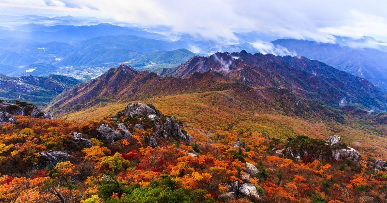 2019年秋季韩国枫叶预测地图指南