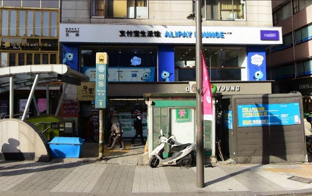 仁川 お花見 桜 お花見ツアー インチョン 桜の名所 韓国旅行