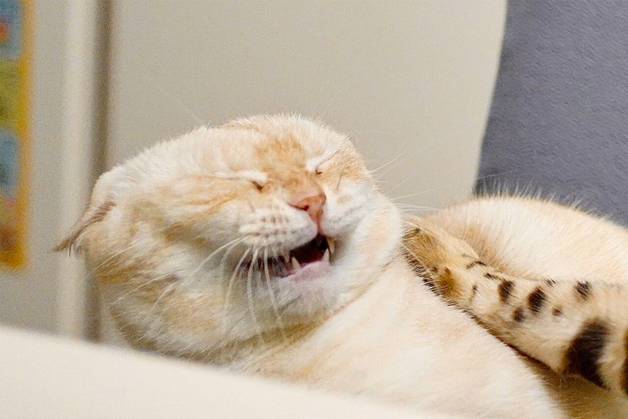 韓國藥局 疼痛 韓文 아프다 藥店購買疼痛藥描述