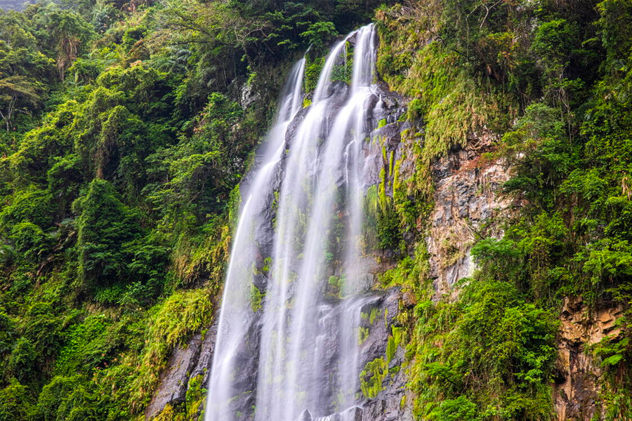 韓國藥局 腹瀉 韓文 설사 藥店購買腹瀉藥描述