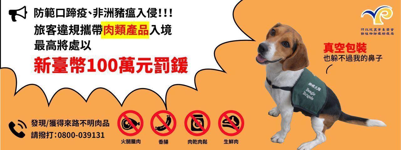 一只警犬正在机场行李传送带处嗅探，确保违规肉类产品不被带入。
