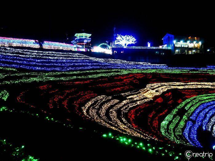 Stunning night view of Boseong Tea Garden Festival lights illuminating the lush green tea fields.