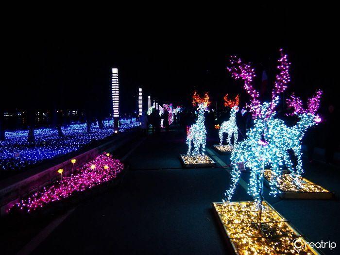 Brightly lit deer sculptures and light installations at the Boseong Tea Garden Festival, creating a festive ambiance.