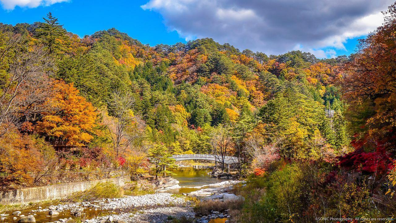 韓國五台山國立公園的秋季楓葉景色，黃紅交錯的楓葉，適合秋天賞楓的好去處。