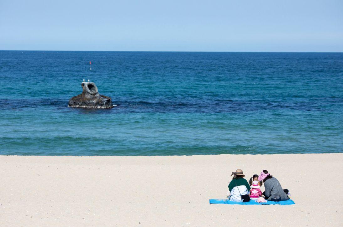 江陵浪漫一日遊！BTS MV跟韓劇拍攝地一日遊(高空滑索、自行車之旅)