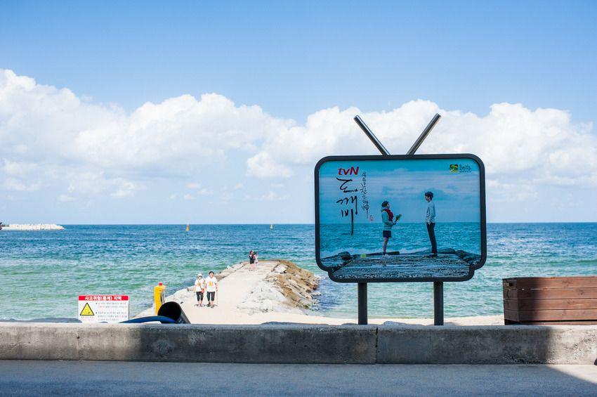 江陵浪漫一日遊！BTS MV跟韓劇拍攝地一日遊(高空滑索、自行車之旅)