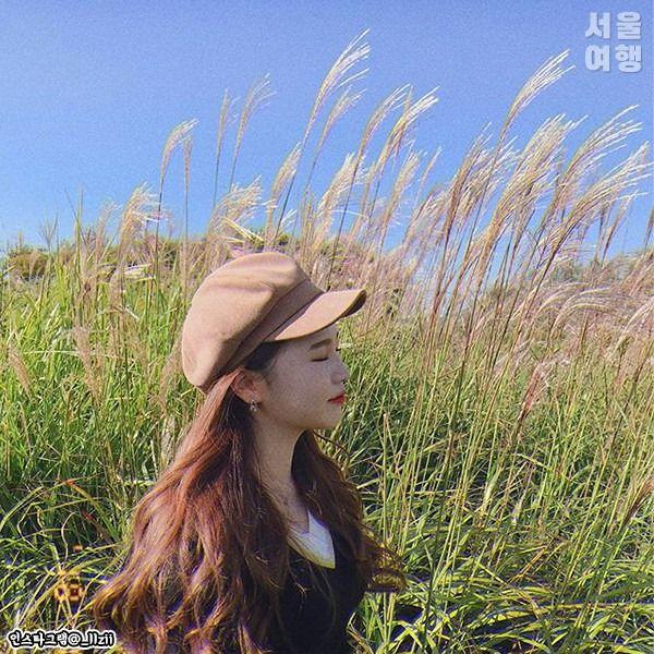 Sky (Haneul) Park Silver Grass