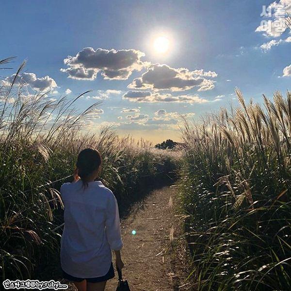 Sky (Haneul) Park Silver Grass