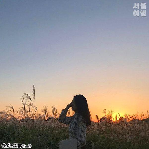 Sky (Haneul) Park Silver Grass