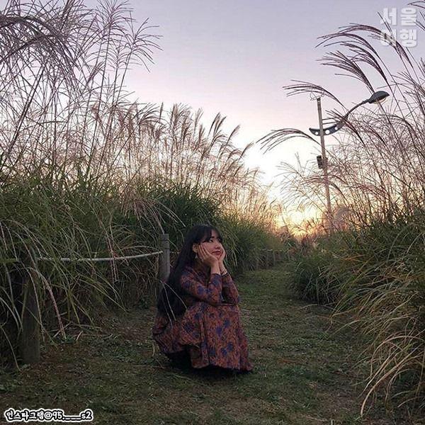 Sky (Haneul) Park Silver Grass