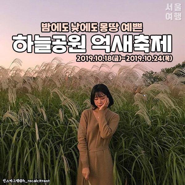 Sky (Haneul) Park Silver Grass