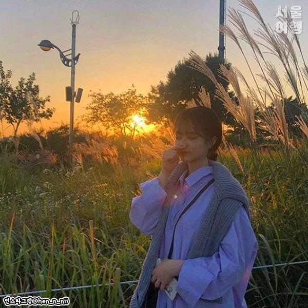 Sky (Haneul) Park Silver Grass