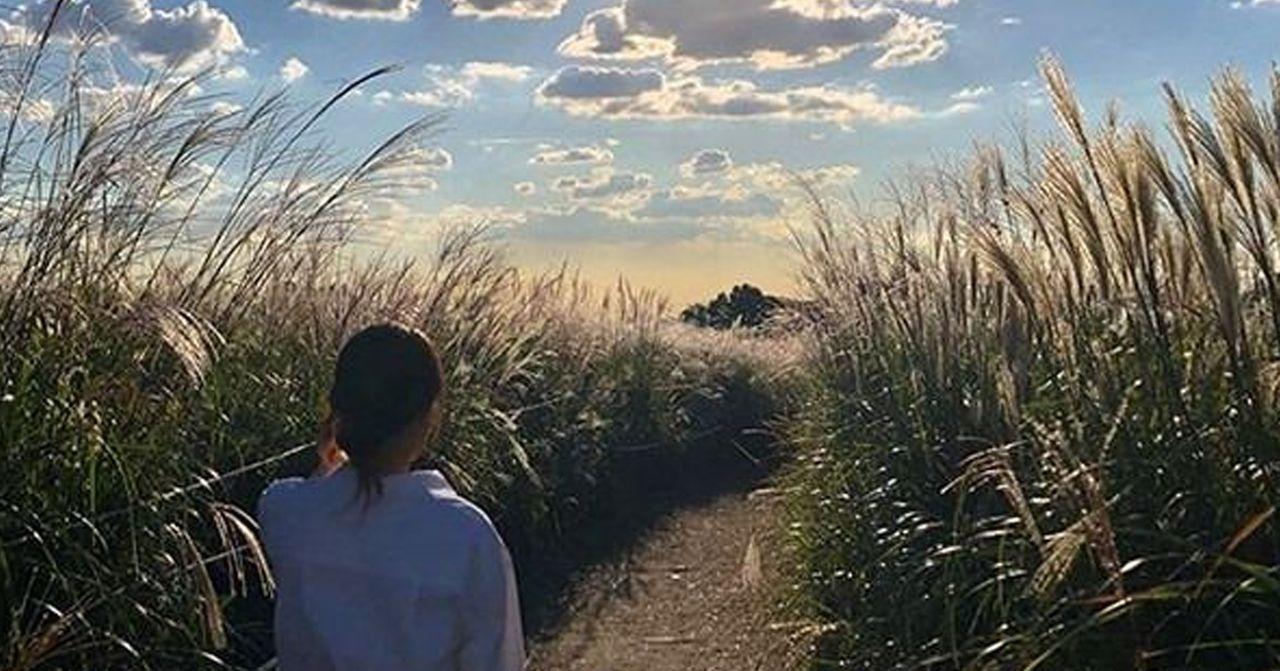 Sky (Haneul) Park Silver Grass