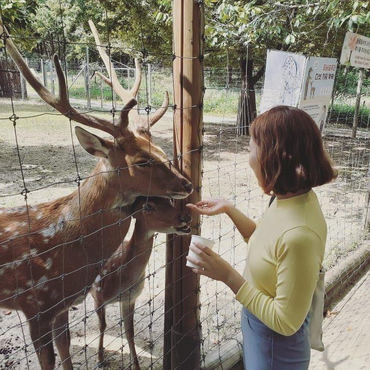 The Best Places in Seoul to Relax