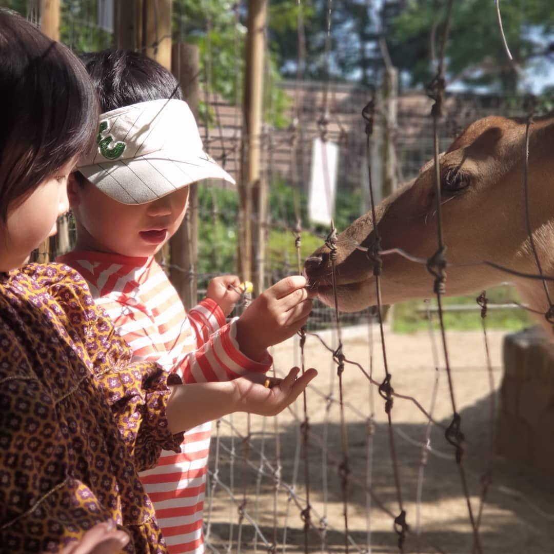 The Best Places in Seoul to Relax