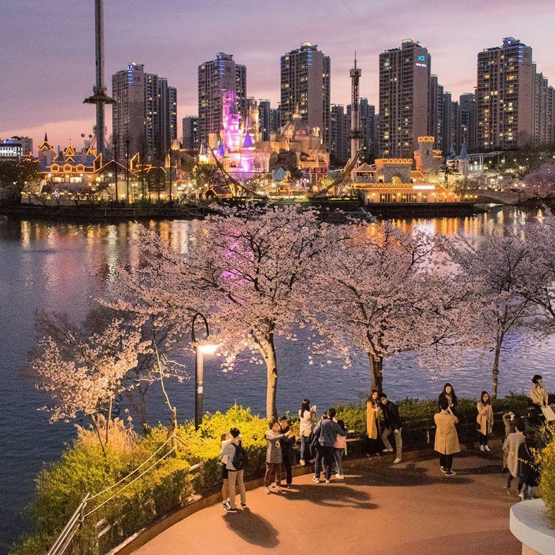 The Best Places in Seoul to Relax