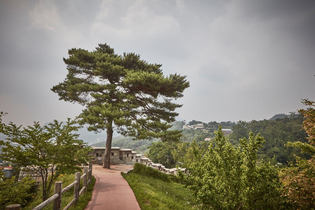 The Best Places in Seoul to Relax
