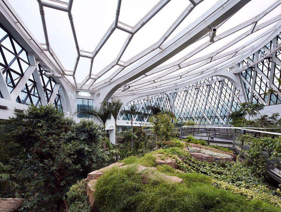 The Best Places in Seoul to Relax