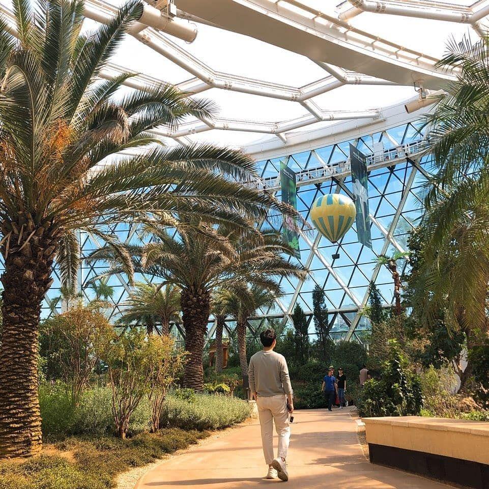 The Best Places in Seoul to Relax