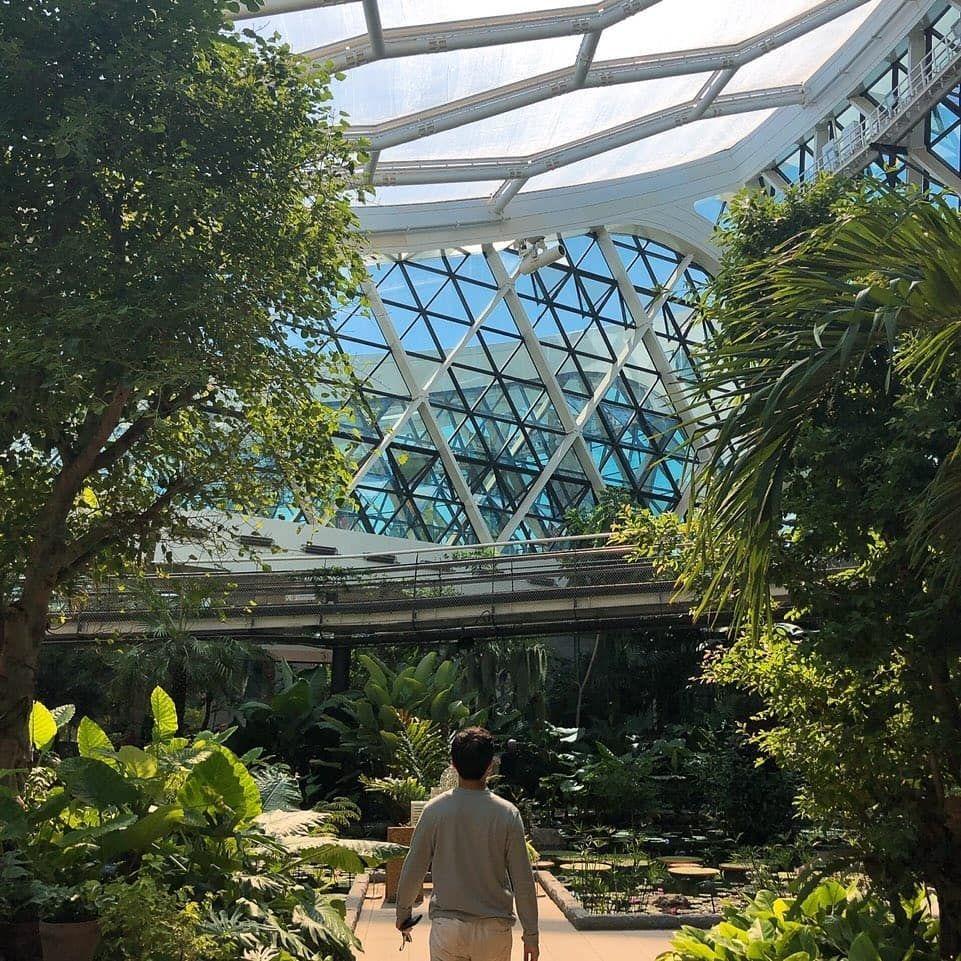 The Best Places in Seoul to Relax