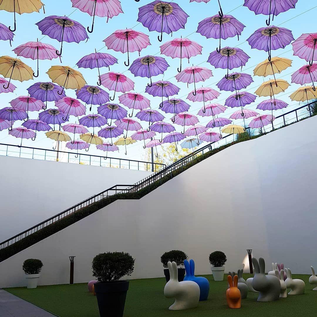 The Best Places in Seoul to Relax