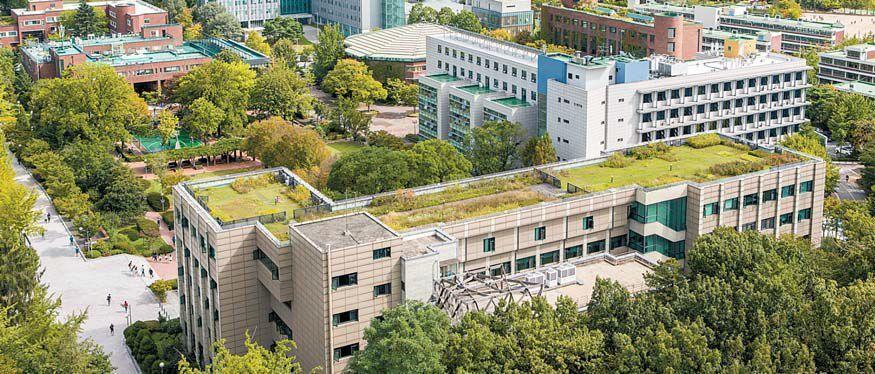 Corso regolare dell'Istituto di lingua coreana dell'Università di Seoul del 2022-thumbnail