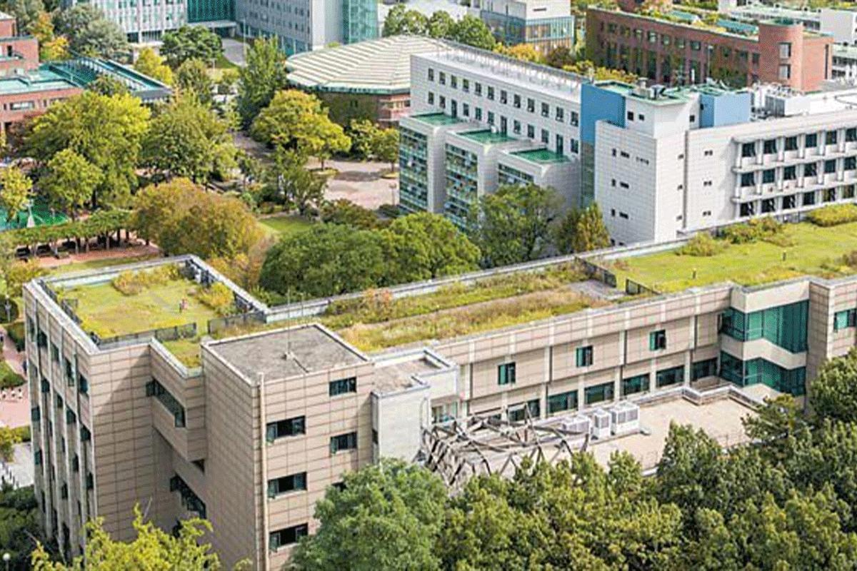 2022年ソウル市立大学語学堂正規課程