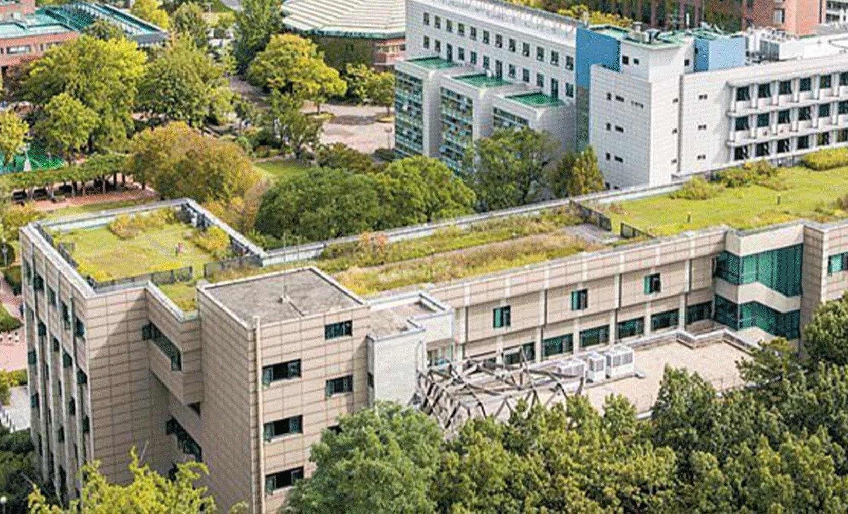 Thông tin Khoá học tiếng Hàn trường Đại học Seoul Sirip năm 2022