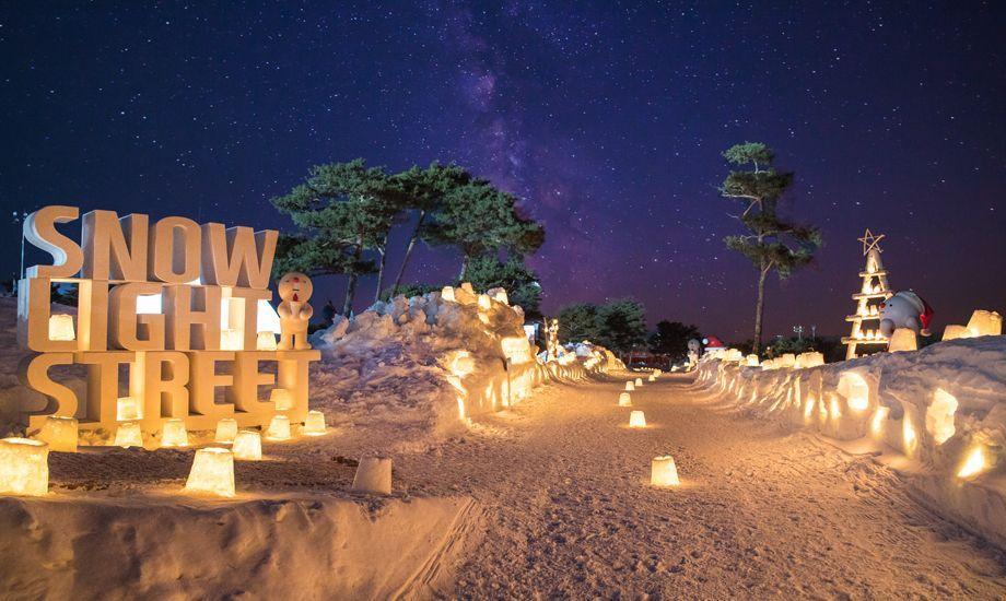 Snowy Land Day Tour | Reserve now and get special presents for early birds!