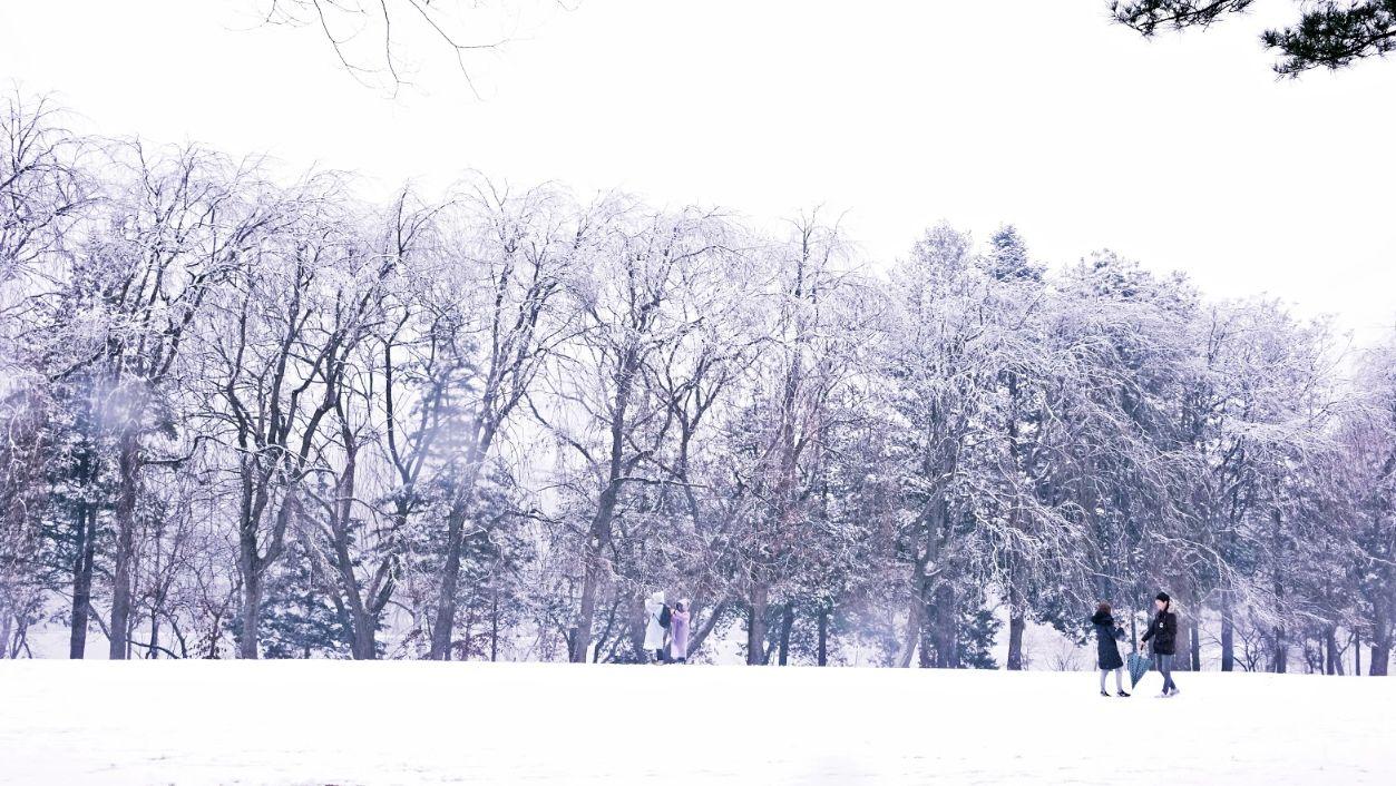 Snowy Land Day Tour | Reserve now and get special presents for early birds!